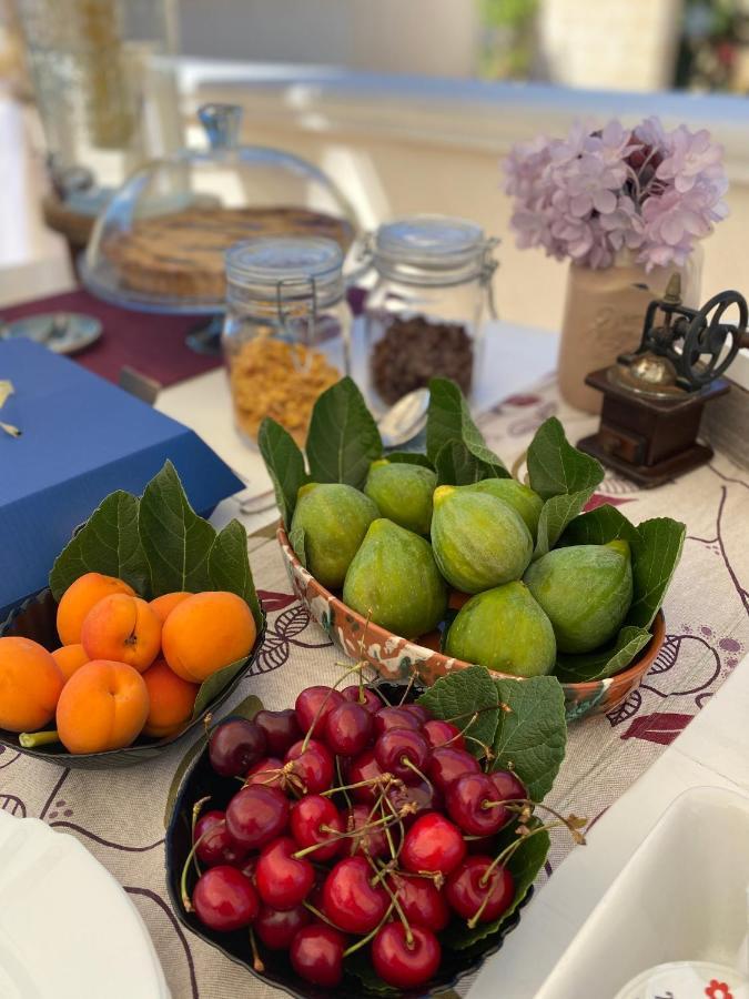 B&B Villa Gallo Torre Squillace Eksteriør billede