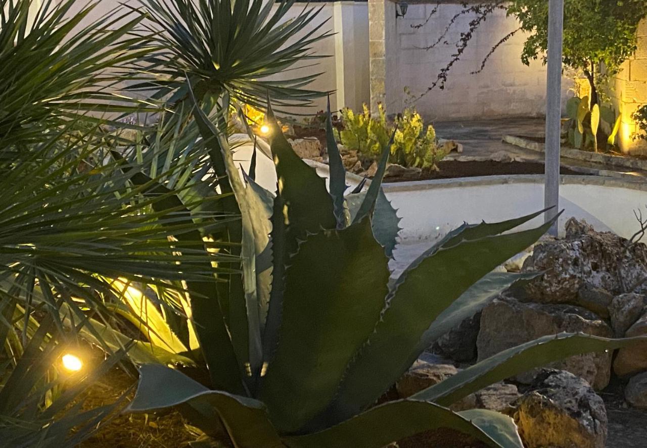 B&B Villa Gallo Torre Squillace Eksteriør billede